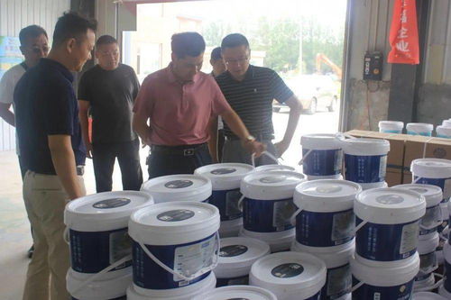 金保姆贝壳粉品牌成长大事记 七月至八月的家政新篇章